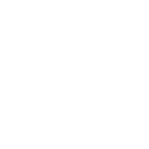Logo Pintér Bálint logó 2024