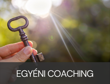 Pintér Bálint coach